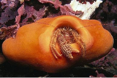 《HIGH on LIFE》推迟至12月13日发行