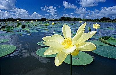 网易免费海洋在线RPG《遗忘之海》公布 登陆PC、PS5和手机